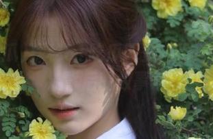 探秘51吃瓜网站免费吃瓜视频背后的故事