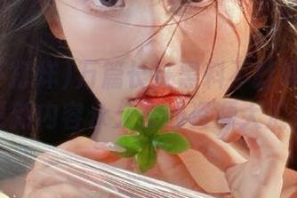 万篇长征黑料不打烊最新版更新内容永久在线资源大汇总